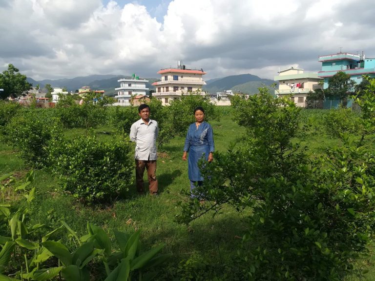 लकडाउनमा कागतीका बोटसंग रमाउँदै नेता थापा