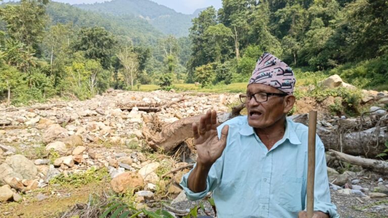 धान फल्ने खेत खोलामा परिणत भएपछि किसानको बिचल्ली