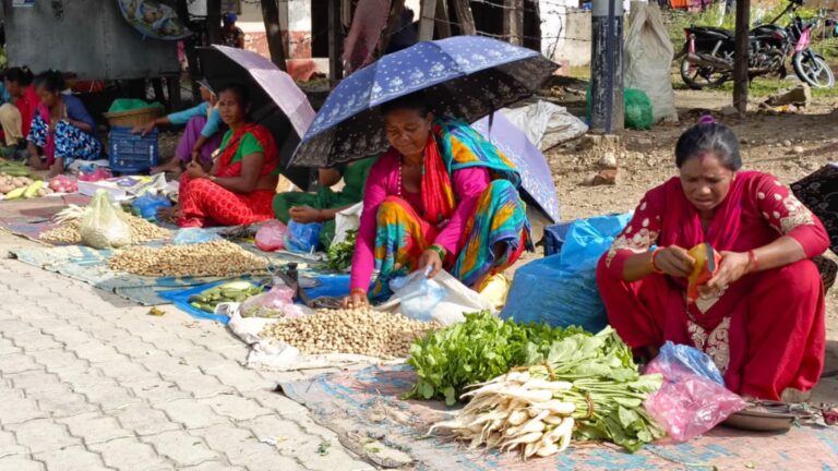 आर्थिक समृद्धिको बाटोमा अग्रसर महिला कृषक