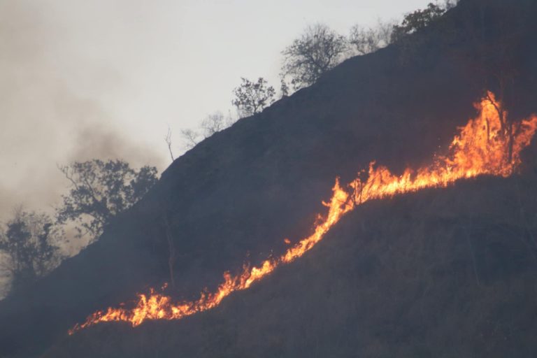 दाङका वनमा डढेलो लाग्न शुरु