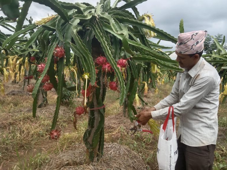 ‘आत्मनिर्भरता’मा देखियो शक्तिरामको शक्ति